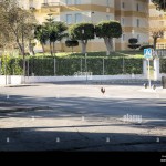 Descubre el Emocionante Mundo de Chicken Road en España en Línea